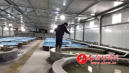 嵐皋縣各漁業企業有序開展復工復產工作，保障畜牧漁業飼料供應